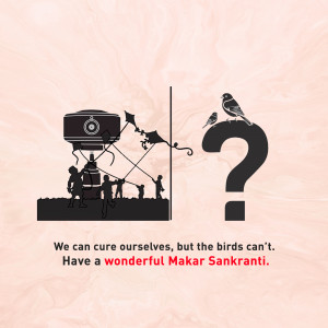 Makar Sankranti Wisehs Images, Poster and Status Free Download 25 16099952912984 Fest vruti uttarayan 06012021 6 square Makar Sankranti